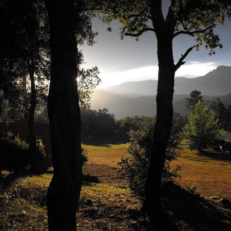 Camping Macanet De Cabrenys Ngoại thất bức ảnh