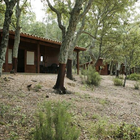 Camping Macanet De Cabrenys Ngoại thất bức ảnh