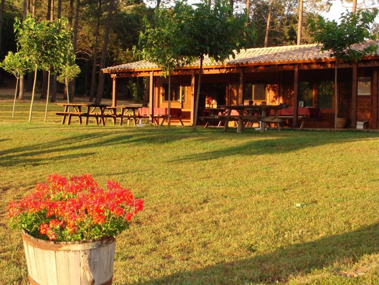 Camping Macanet De Cabrenys Ngoại thất bức ảnh