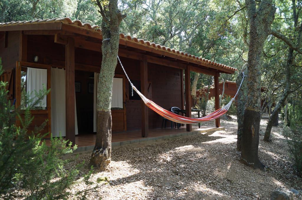 Camping Macanet De Cabrenys Ngoại thất bức ảnh