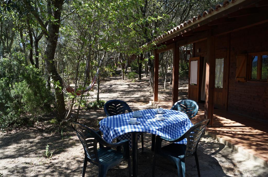 Camping Macanet De Cabrenys Ngoại thất bức ảnh